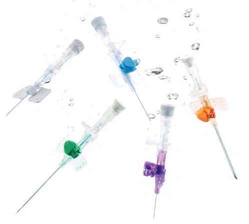 Intravenosa (IV) Cannula.jpg