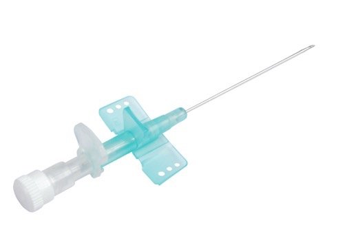 Asa: Borboleta: Tipo de Veia do Couro Cabeludo residente cannula.jpg
